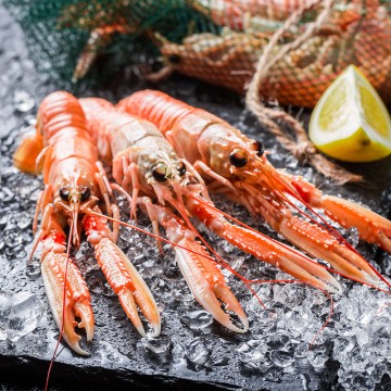 Langoustine crue calibre...