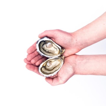 Huître Cancale "MARIA" n°2...