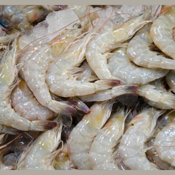 Crevettes Crues - Gambas -...