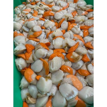 Noix de saint jacques avec...