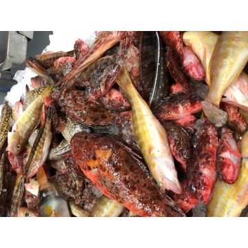 Poissons crus pour...